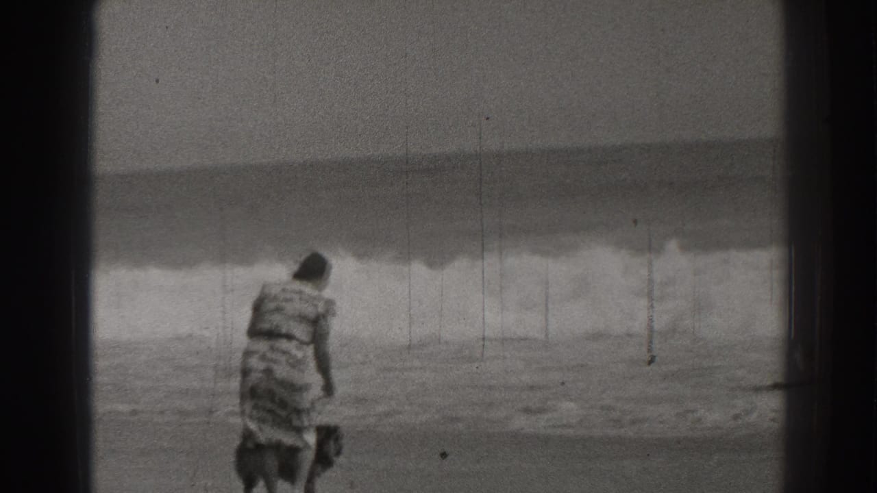 Woman in a patterned dress walks a small dog on a leash near ocean surf.