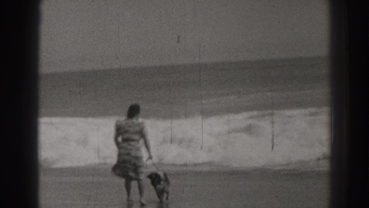 Woman stands near the surf while holding a leash attached to a small dog.