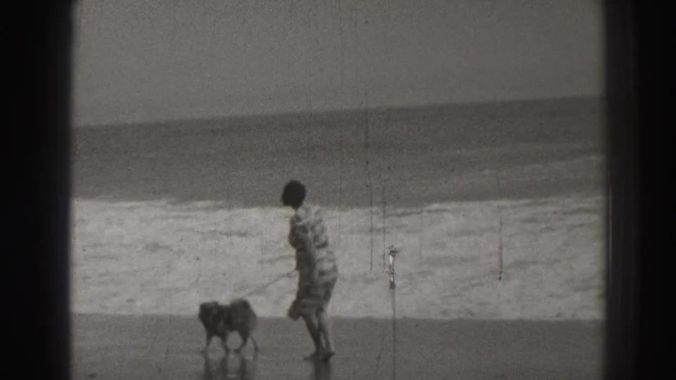The small leashed dog stands on the wet Santa Cruz beach while the woman walks nearby with surf in the background.