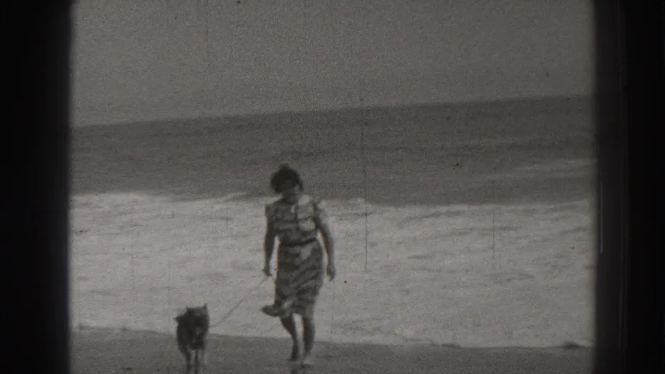 In the final frame, the woman walks her small leashed dog along the Santa Cruz shoreline, with foamy waves and open ocean behind.