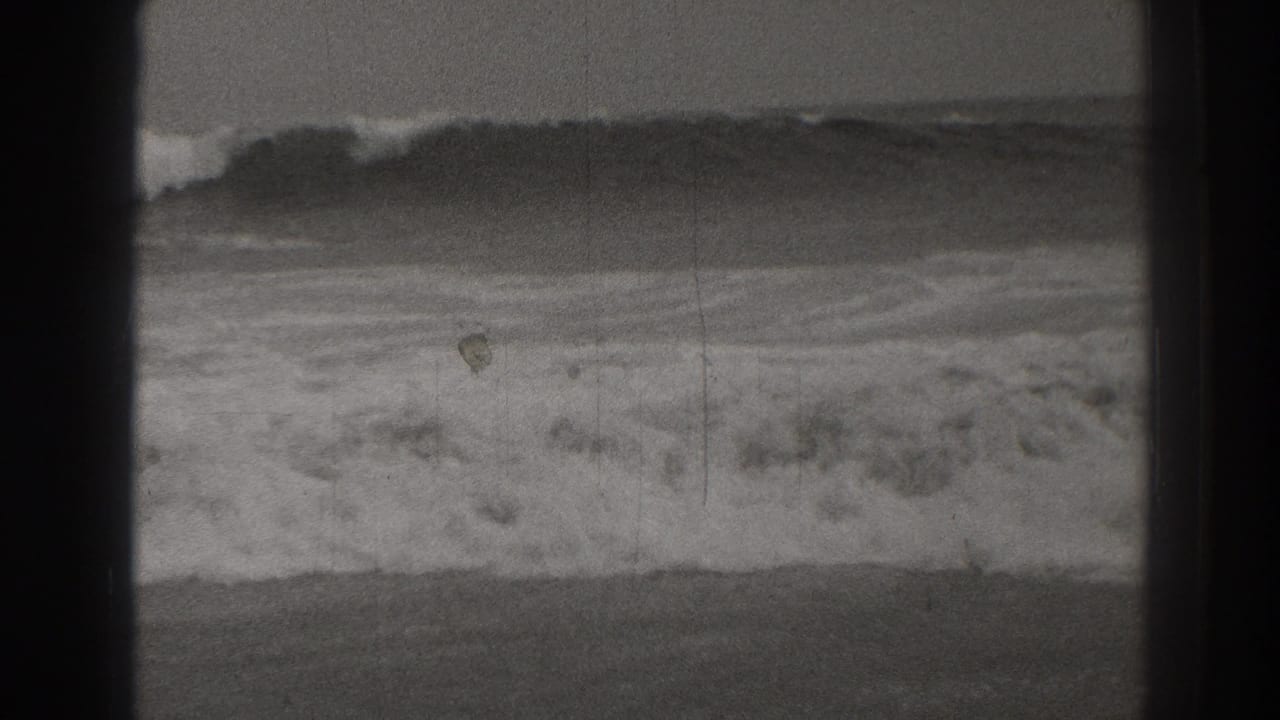 Curling ocean wave with white foam and a dark horizon line.