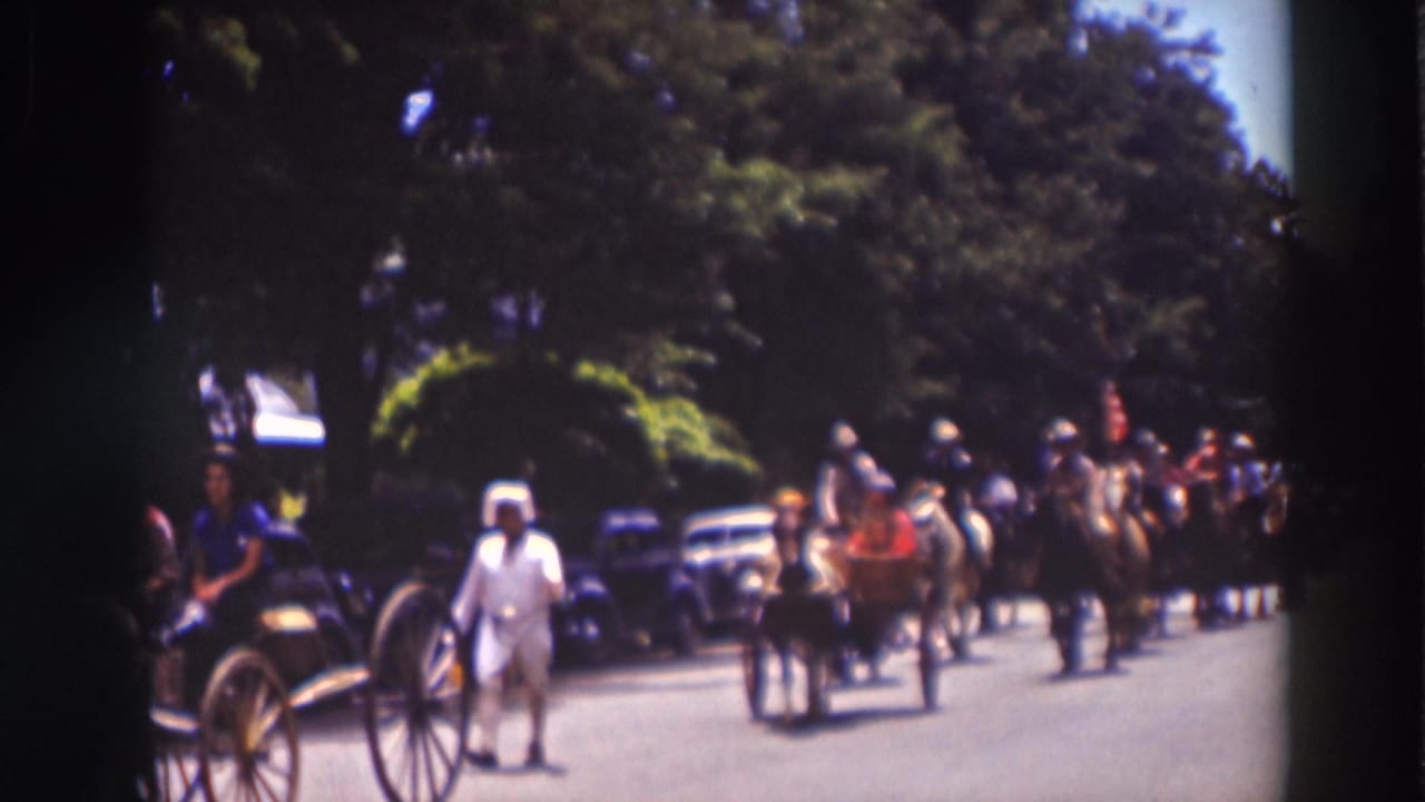 Horse-drawn parade approaching on a tree-lined street with parked cars nearby.