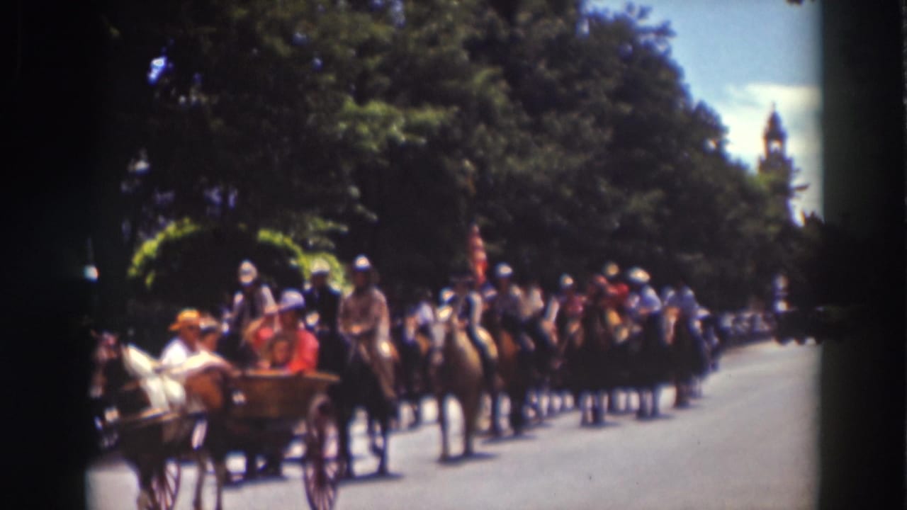 Horseback riders and a carriage move along a tree-lined parade street.