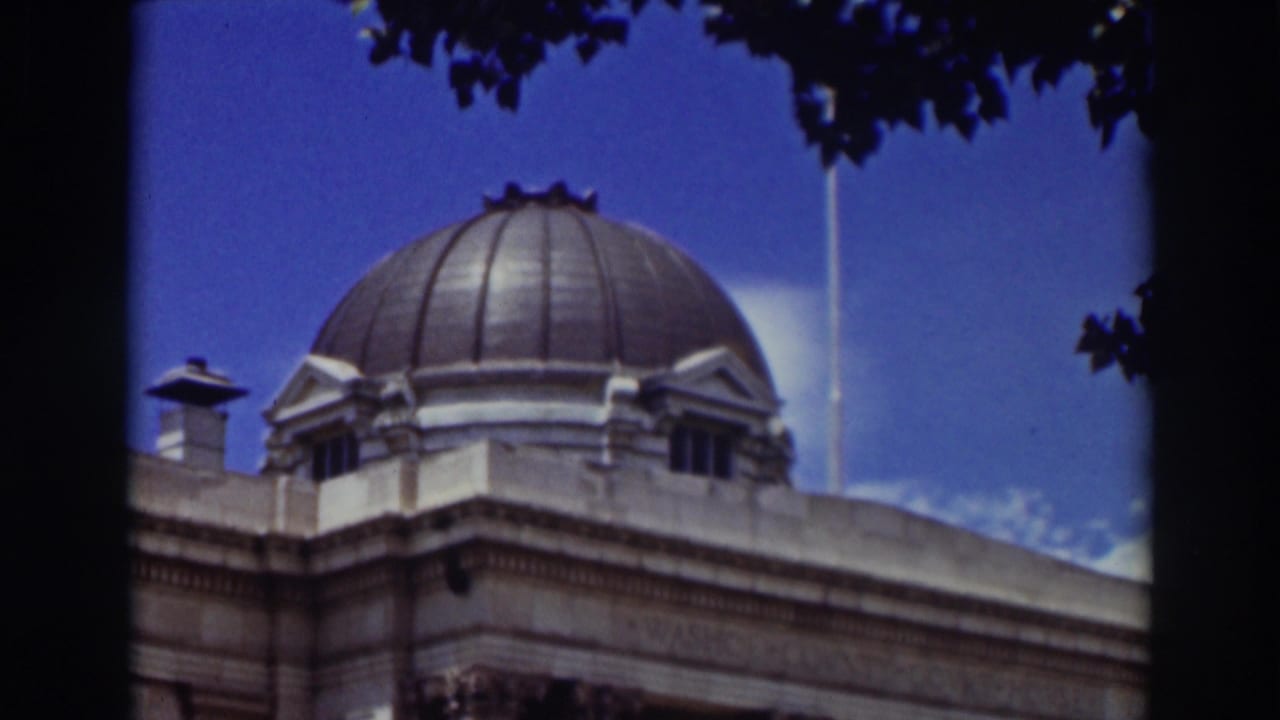 Domed stone building roof and upper facade framed by dark tree branches.