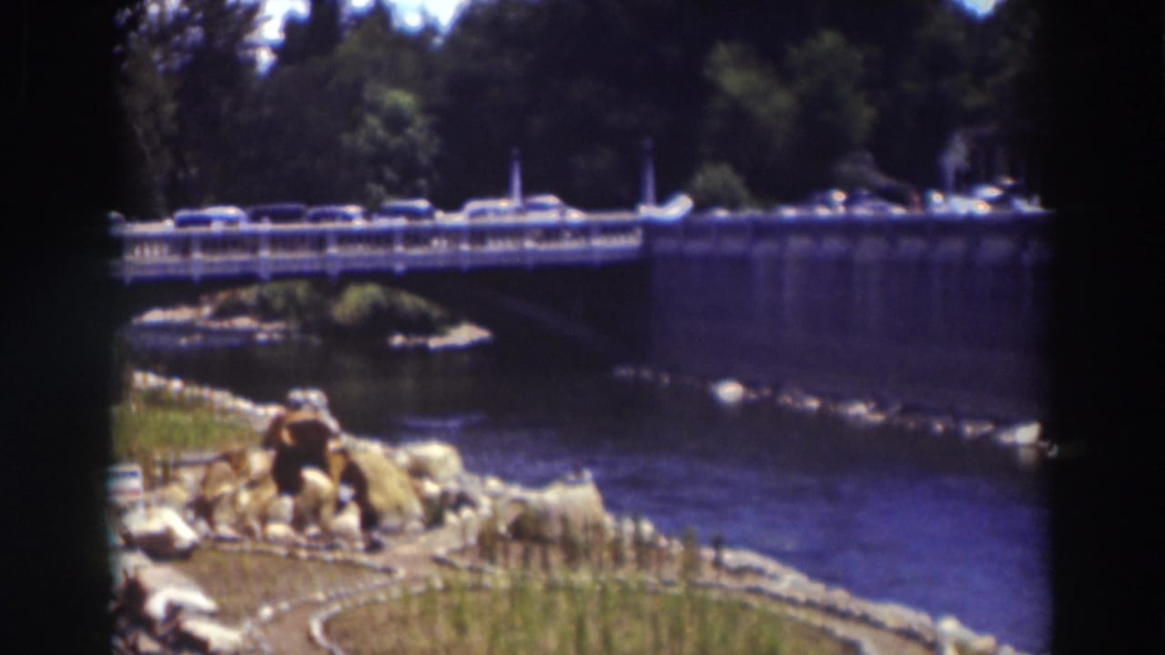 A wider 8mm view shows the river, bridge railing, moving cars, foreground rocks and grass, and dense trees beyond the road.