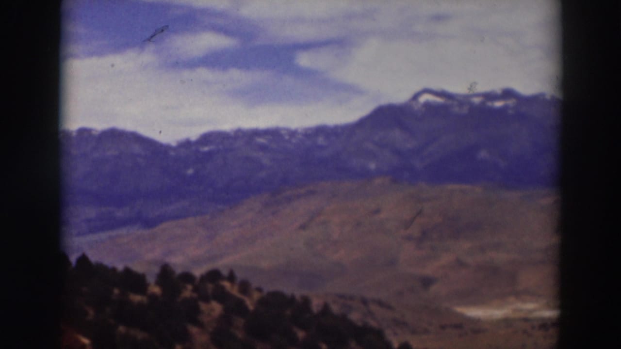 Snow-dusted mountain range beyond dry hills and dark foreground trees.