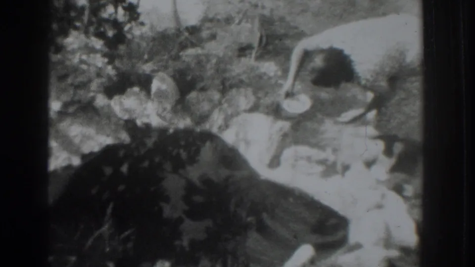 Home-movie frame from the Vacaville clip showing a person crouched among rocks and brush while gathering water.
