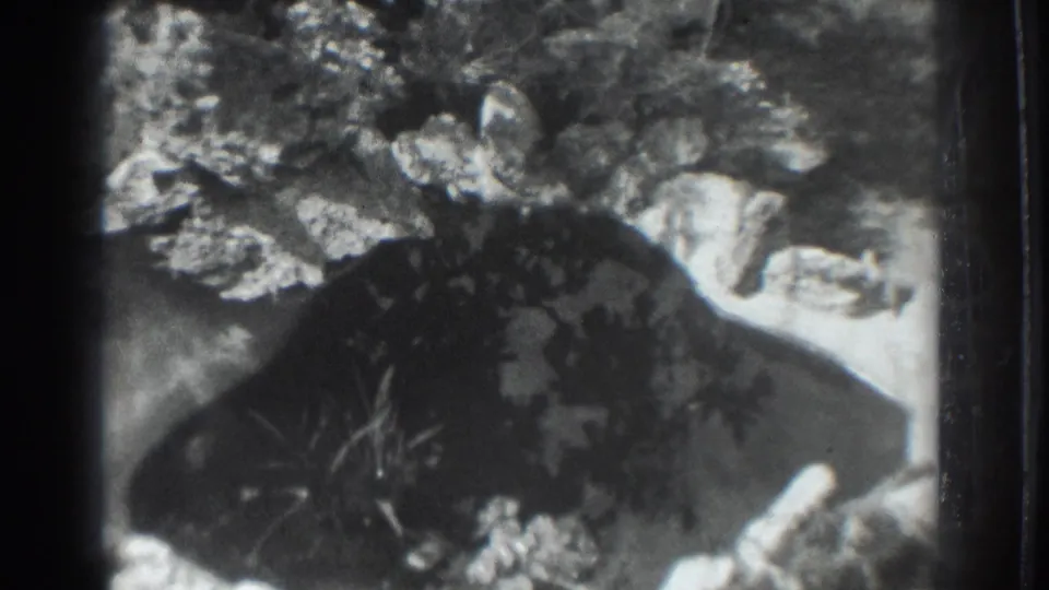 Black-and-white 8mm frame of a rock-edged pond in Vacaville, California, with water movement and foliage.