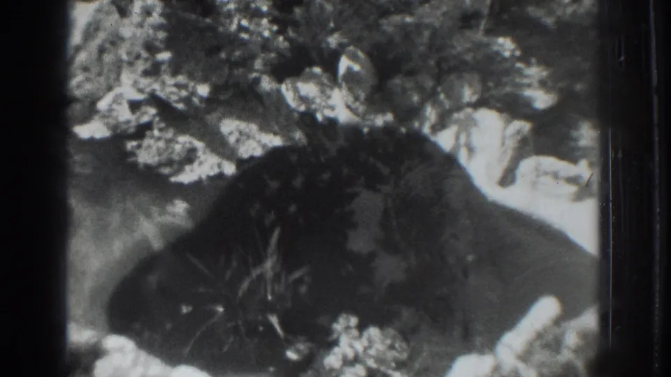 Vacaville, California pond detail from 1937 home-movie footage, showing rippled water and rock-lined planting.