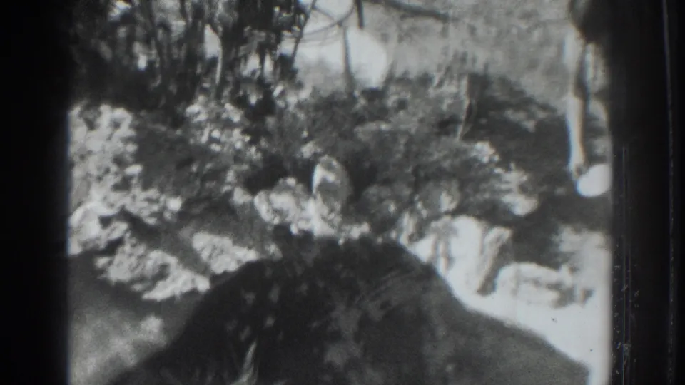 In a 1937 Vacaville home-movie frame, a woman is partly hidden by foliage as she bends near the ground outdoors.