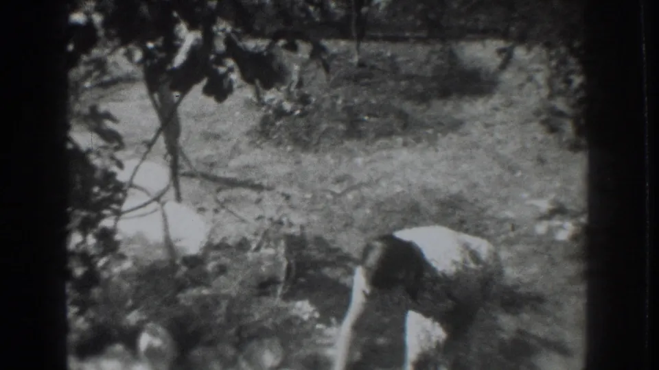 In the Vacaville yard, the woman crouches with a light-colored scoop or container close to the ground.