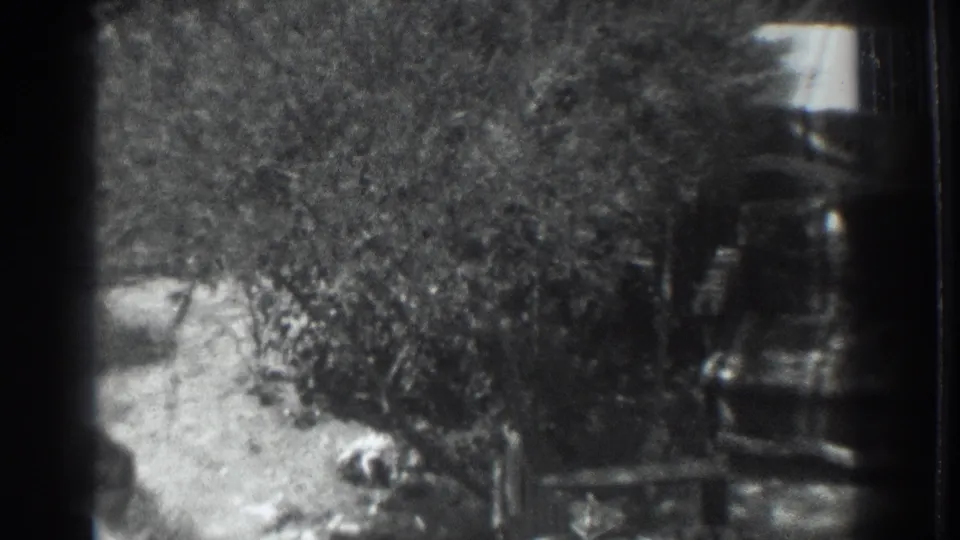 1937 Vacaville home-movie frame showing a shaded garden area with trees, grass, and part of a wooden structure.