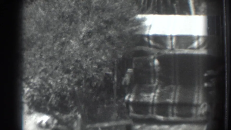 1937 Vacaville frame showing a wooden structure near dense leafy growth and sunlit patches in the yard.