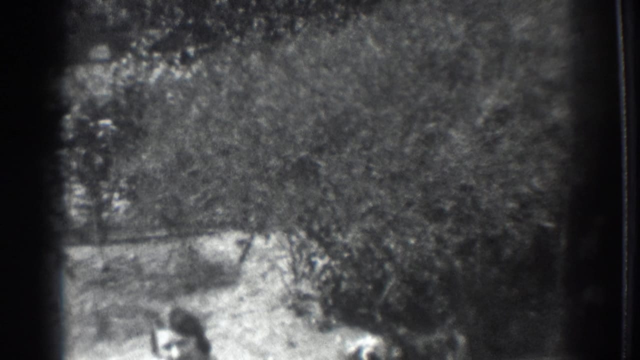 Soft 1937 Vacaville 8mm frame showing a rural yard with shrubs, uneven ground, and low figures near the lower edge.