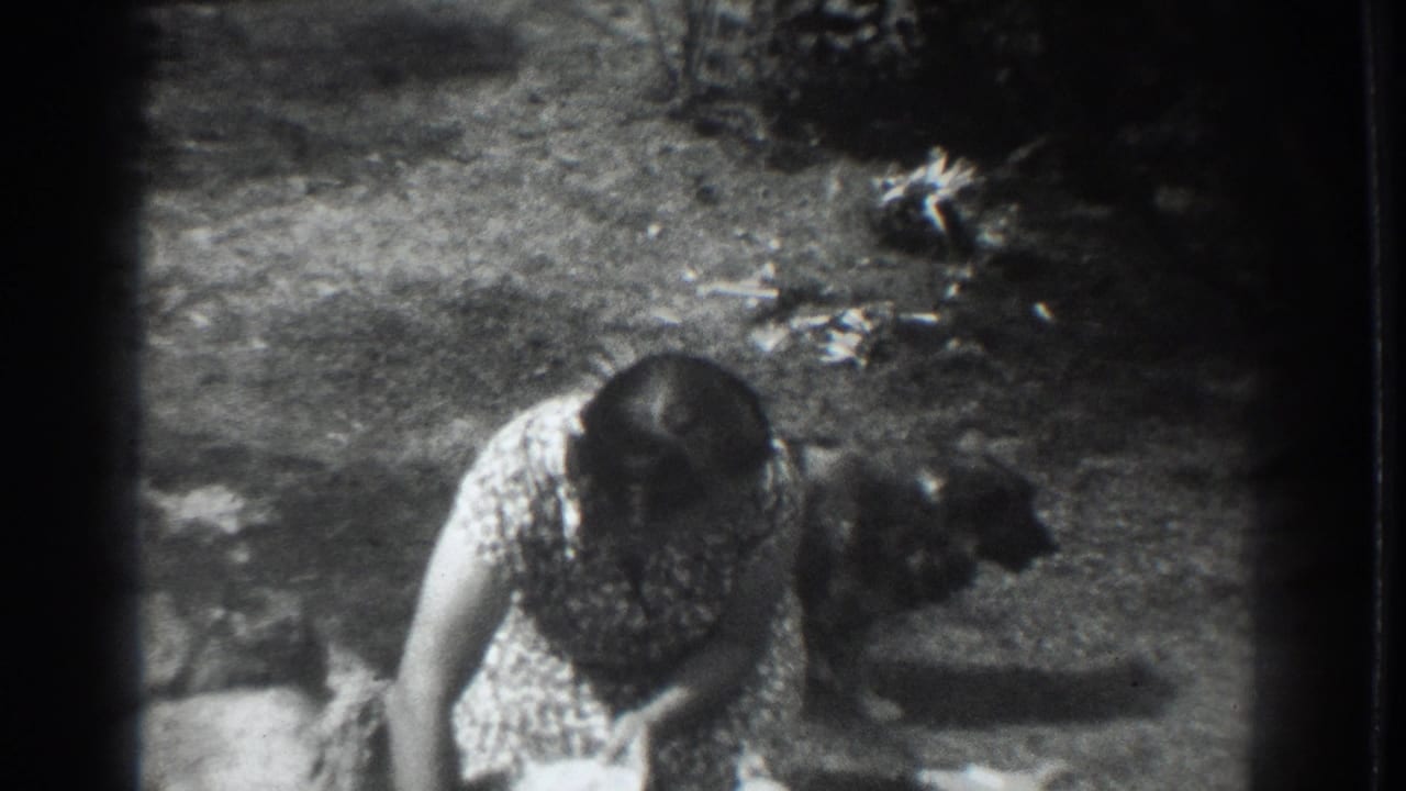 The woman remains bent forward in a Vacaville yard as the small dog stands close behind her in the grainy 8mm frame.