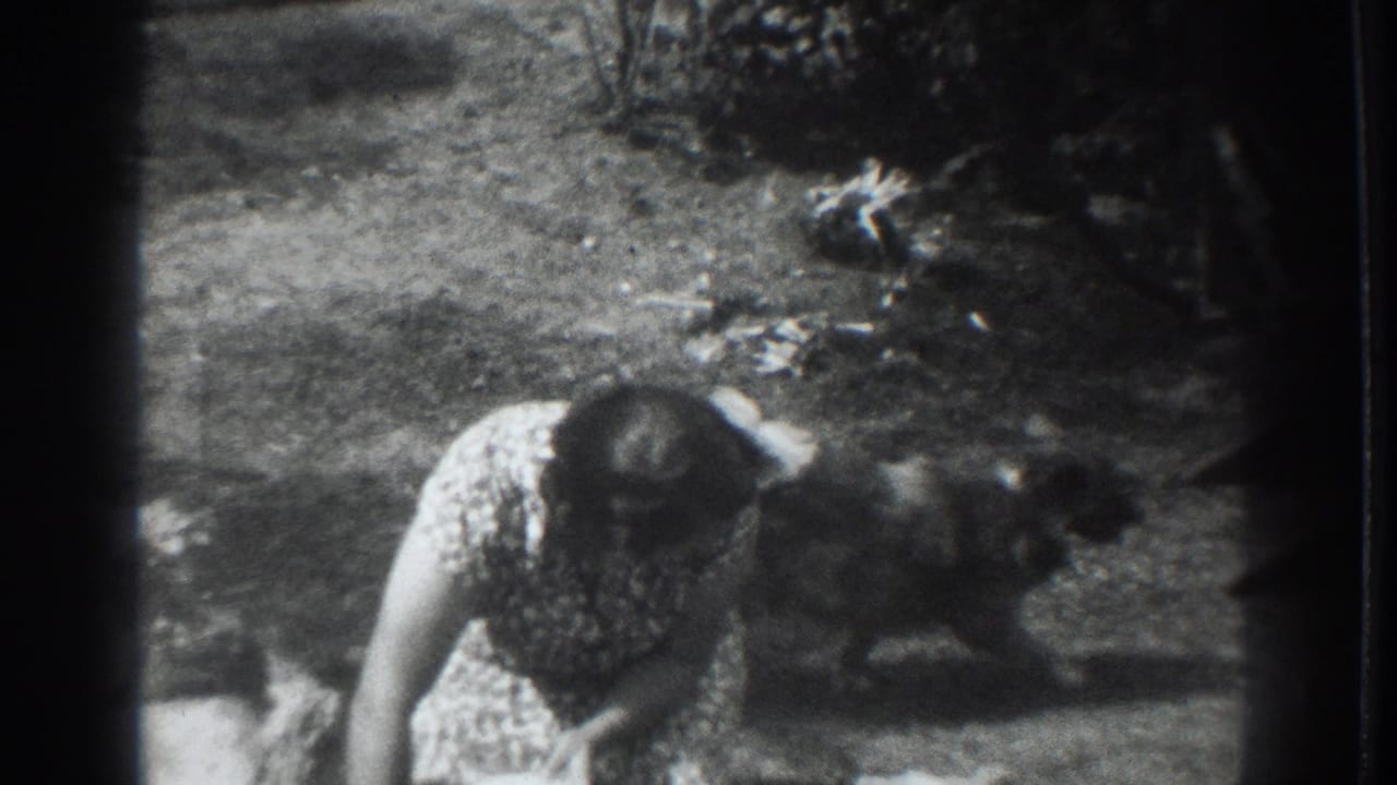 A woman in a flowered dress bends low while the small dog moves nearby on a patch of yard in 1937 Vacaville footage.