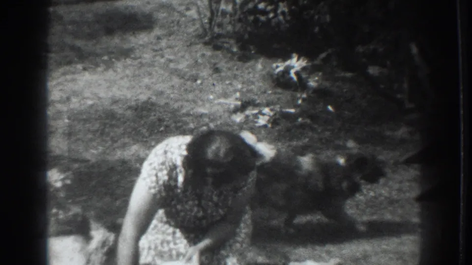A woman in a flowered dress bends low while the small dog moves nearby on a patch of yard in 1937 Vacaville footage.
