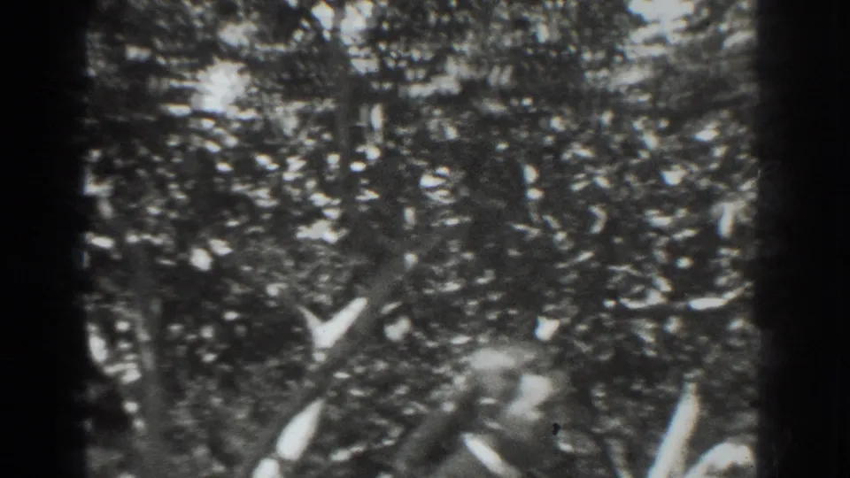 A soft, shaky frame catches the suited man and the woman in white partly obscured by foliage in the 1937 Vacaville orchard setting.