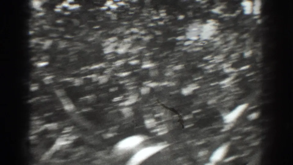 The final frame shifts through the orchard canopy, leaving the adults partly visible as blurred white hat and clothing shapes.