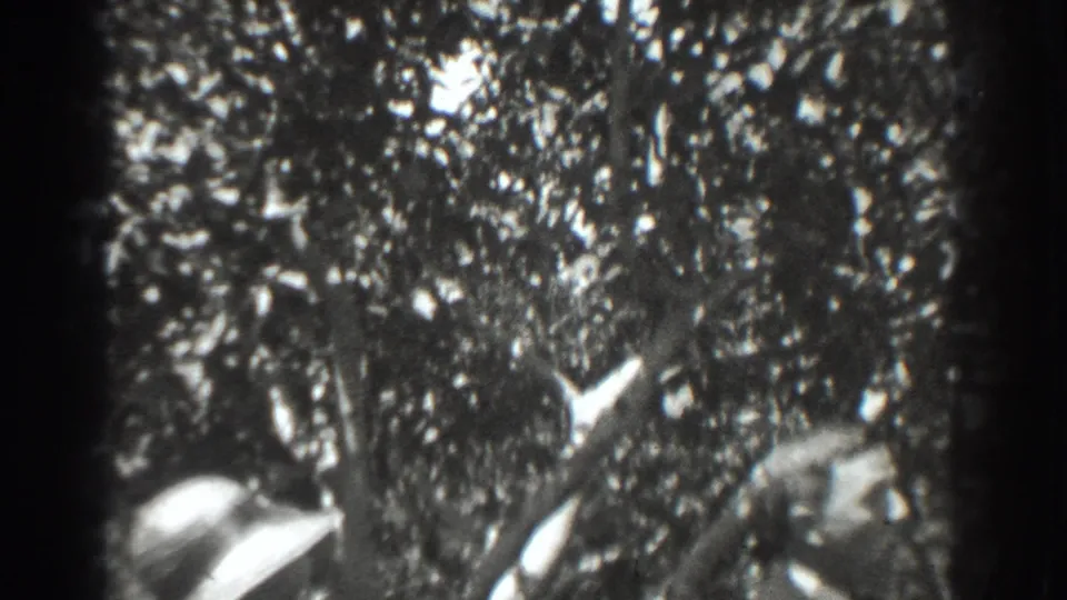 In a 1937 Vacaville orchard home movie frame, three adults stand under leafy trees while one person in a broad hat faces the group.