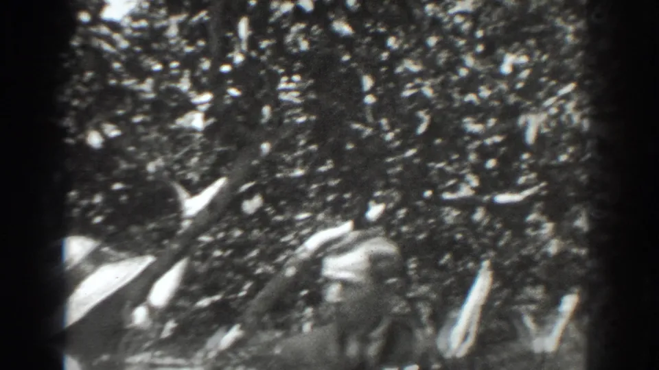 Two people in the Vacaville orchard scene appear in soft focus beneath dense leaves, with the man turned toward the woman.