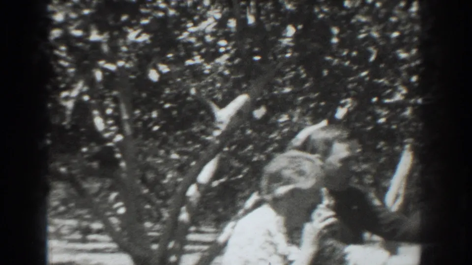 In the orchard, the woman raises or passes her wide-brimmed hat while the suited man stands close beside her.