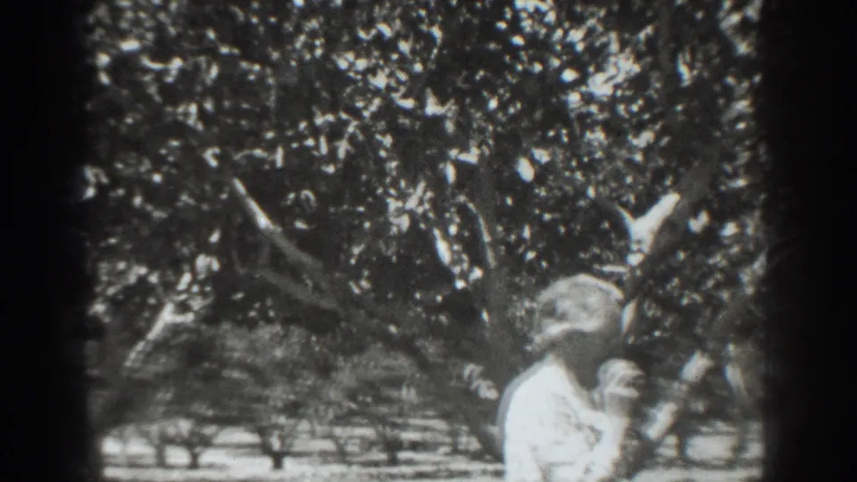 The woman appears to hold or adjust the hat near her face while standing beside the man in the 1937 Vacaville orchard scene.