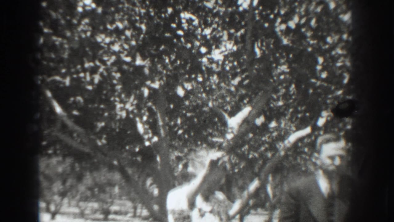 Man and woman partly visible beneath a leafy tree in a sunlit outdoor setting.