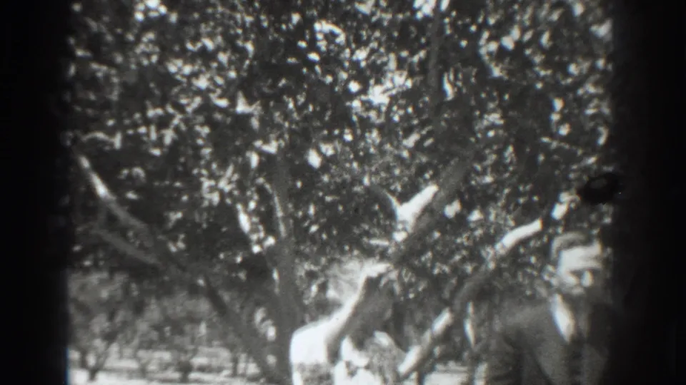 In 1937 Vacaville home-movie footage, a suited man and woman in a light dress appear under dense tree branches.