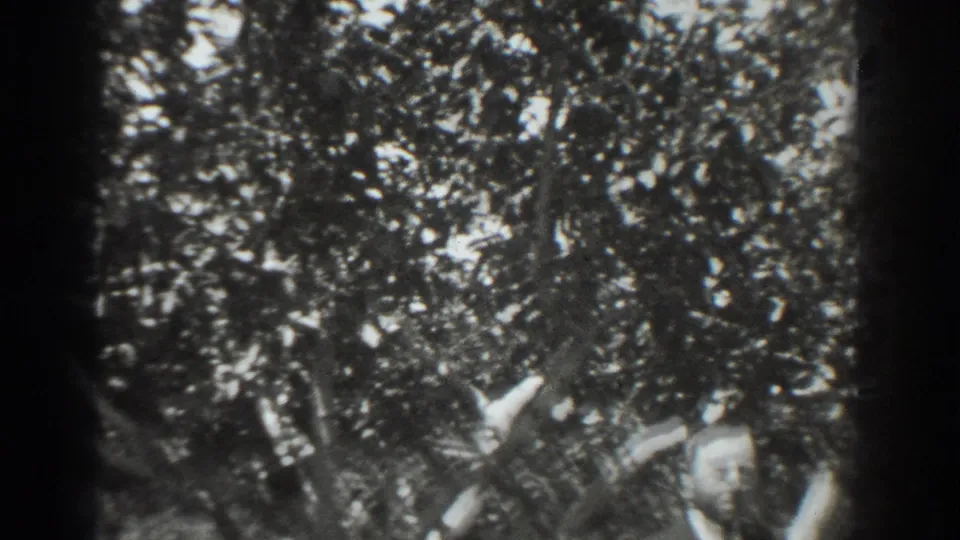 The couple remains under the tree in the Vacaville outdoor scene, partially obscured by foliage and exposure.