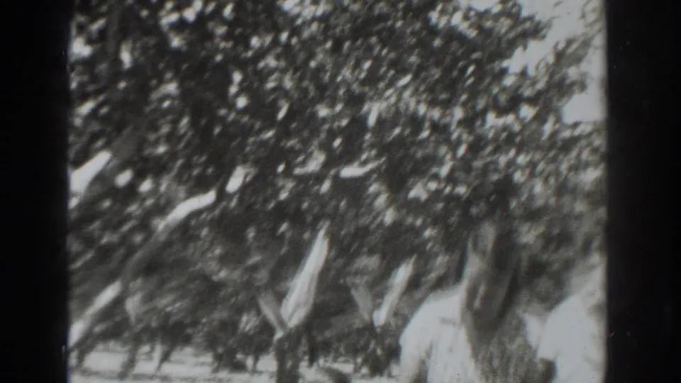 At the end of the clip, the couple shifts or the camera moves, leaving them blurred near the right edge under the tree.