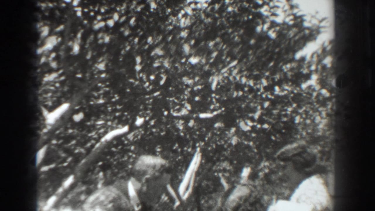 People partly hidden under a leafy tree with dark film borders.