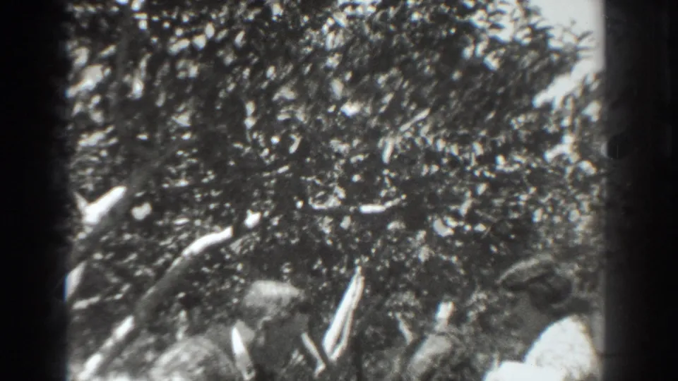 1937 Vacaville home-movie frame showing people partly obscured beneath a dense garden tree.