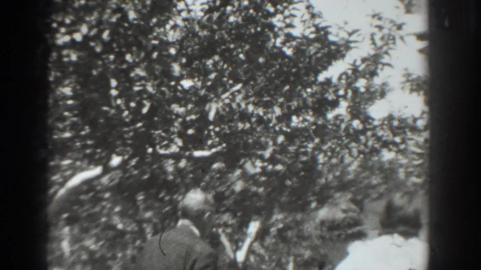 Black-and-white 8mm frame from Vacaville showing shaded figures beneath a tree near a garden stand.