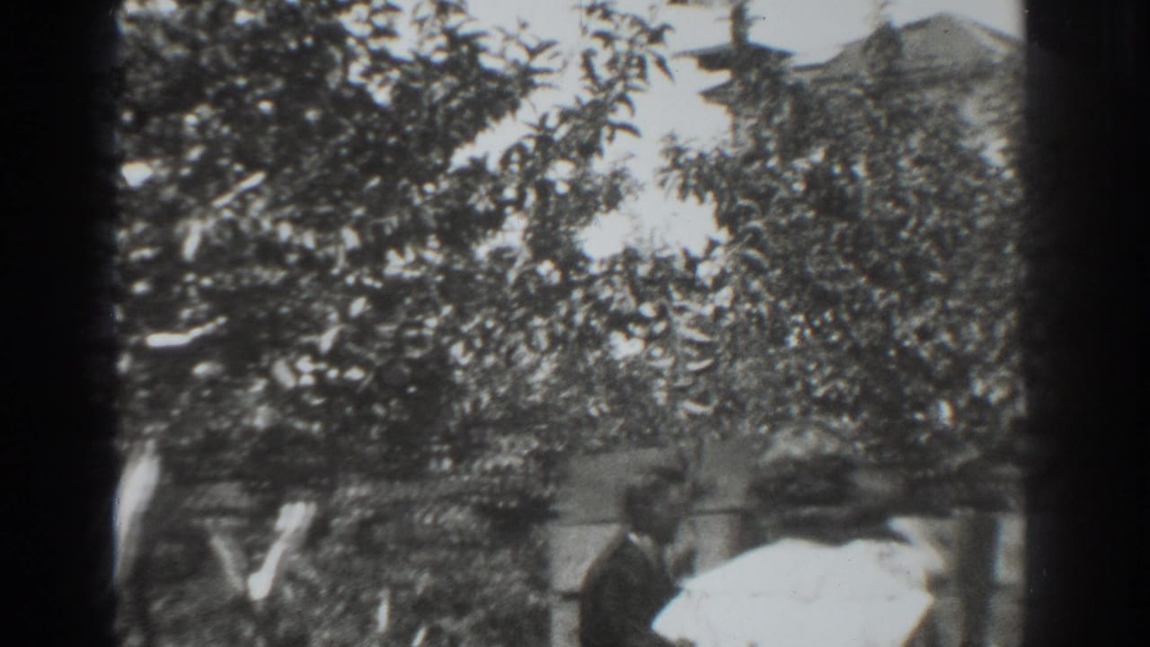 Adults stand beneath leafy trees near boxes or a low fence in a sunlit backyard.