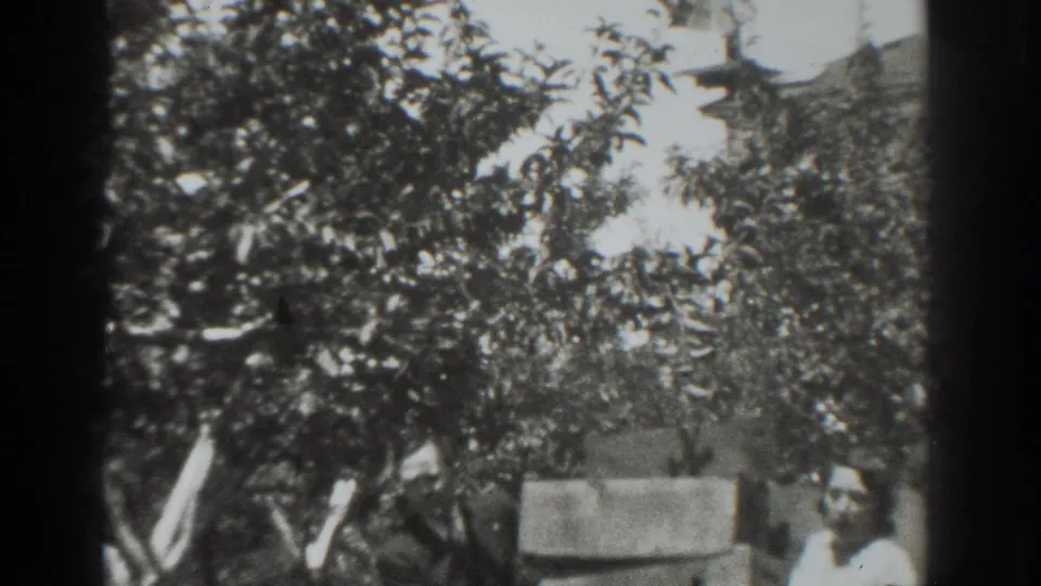 1937 Vacaville home-movie frame showing adults under trees near fruit boxes in a backyard.