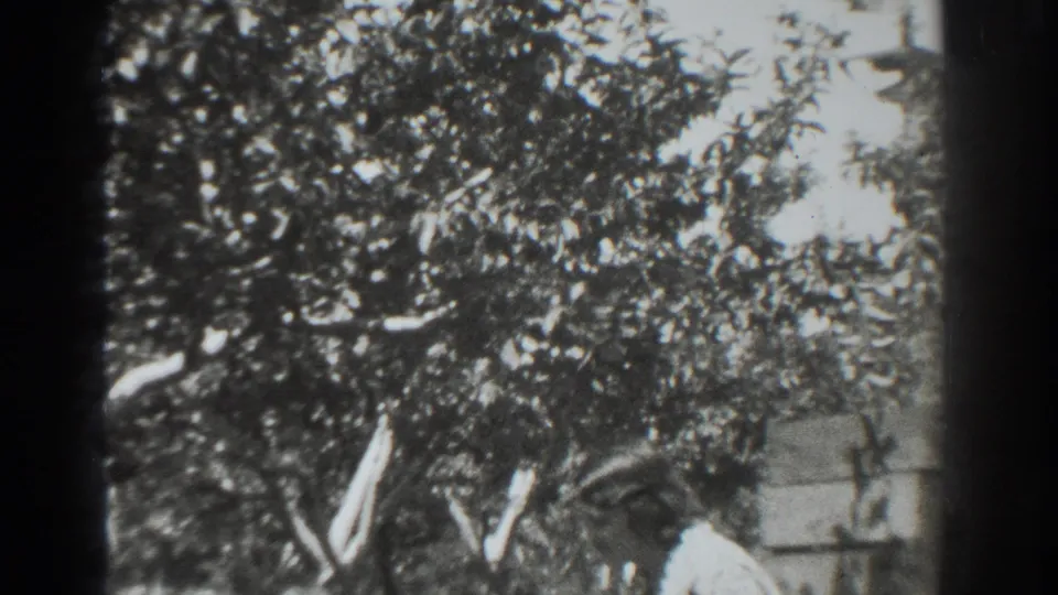 1937 Vacaville frame with two adults partially visible below dense trees as a pale board runs through the garden scene.