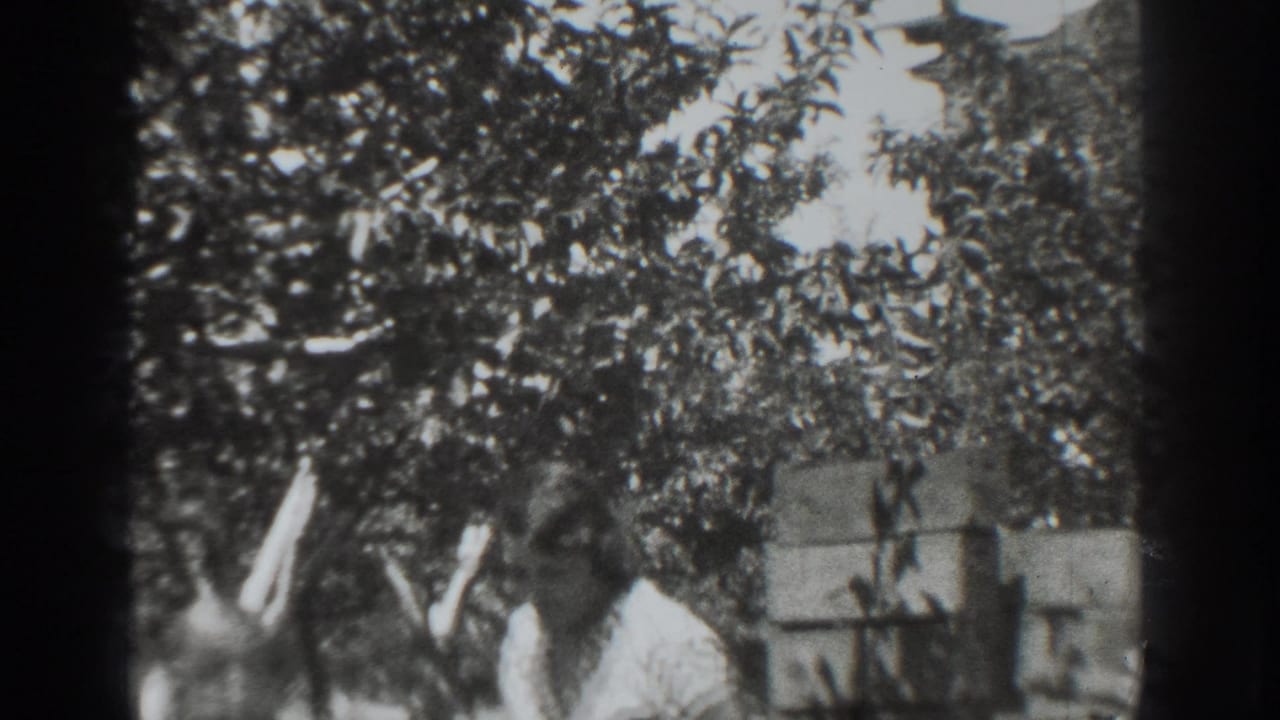 Man in a dark suit and woman in a light dress stand beneath leafy trees.