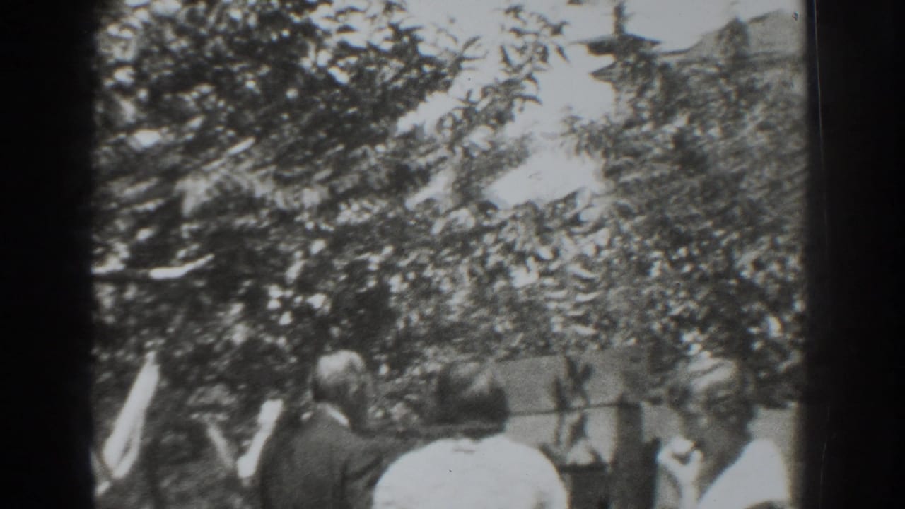 Adults stand and walk under orchard trees near a wall or fence.