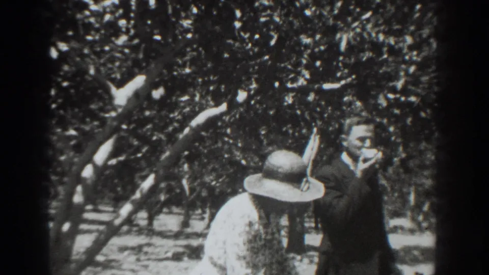 A woman in a wide-brimmed hat and a suited man move through the 1937 Vacaville orchard rows.