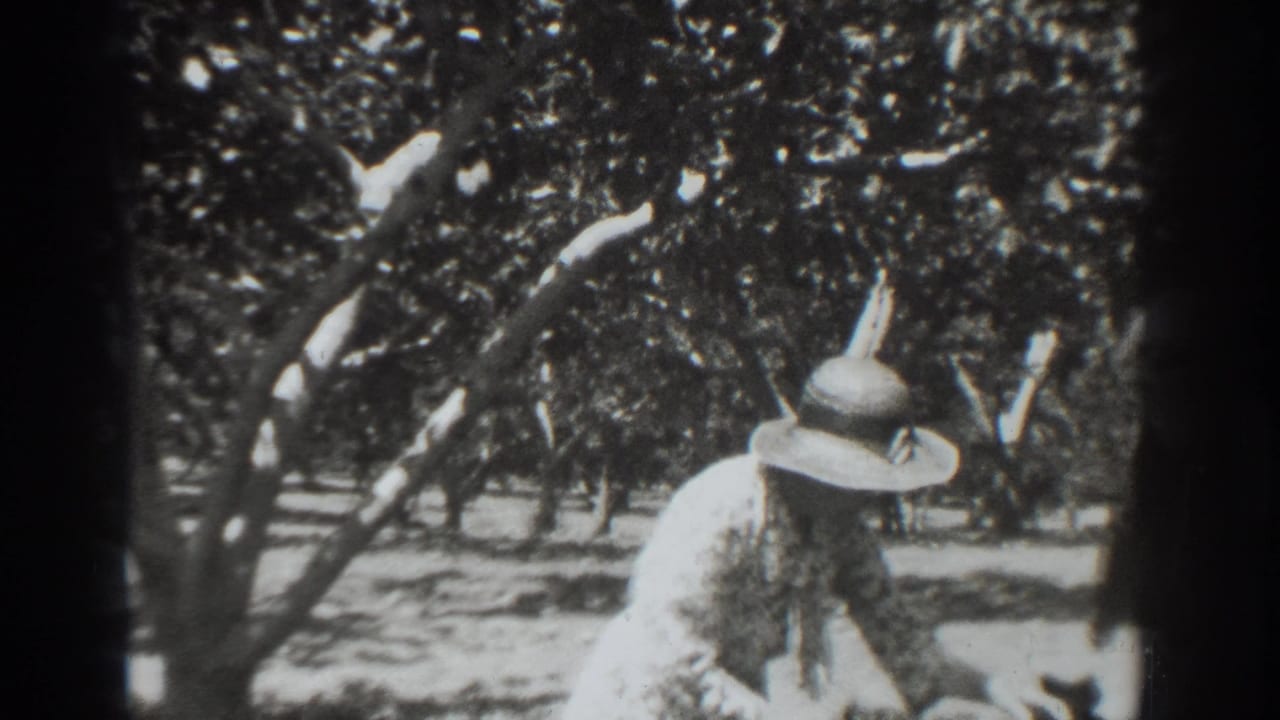 Woman in a wide-brimmed hat works beneath orchard trees while another figure is partly visible nearby.