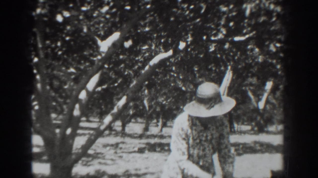 In 1937 Vacaville home-movie footage, a woman in a wide-brimmed hat and patterned dress appears among leafy orchard rows.