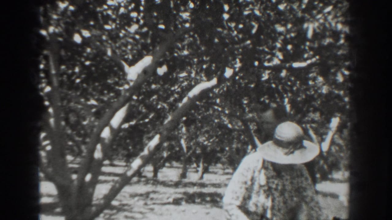 The woman in the wide-brimmed hat continues through the Vacaville orchard, partly turned away beneath dense tree foliage.