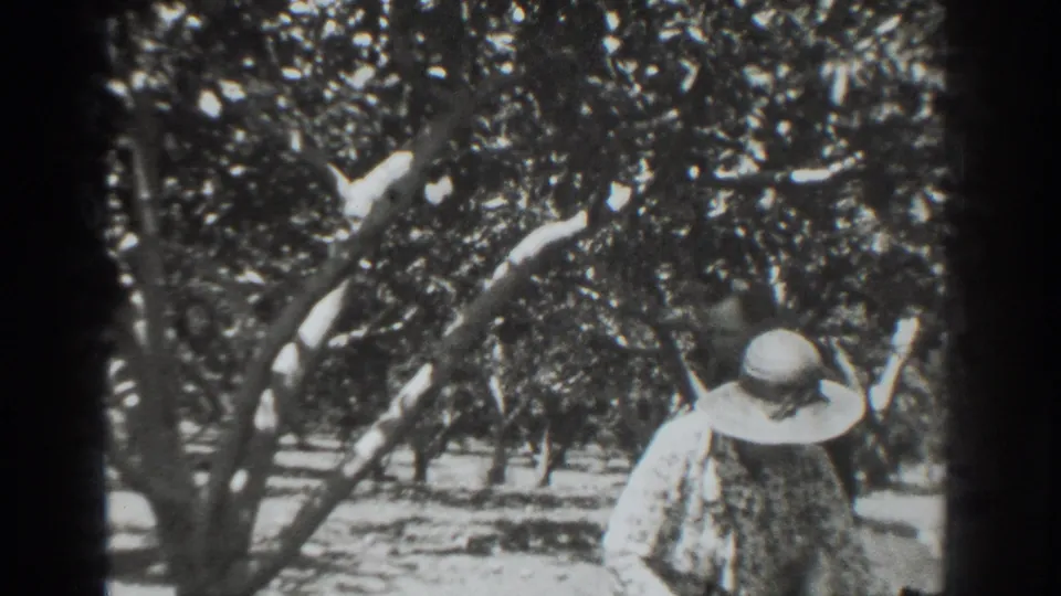 The woman in the wide-brimmed hat continues through the Vacaville orchard, partly turned away beneath dense tree foliage.