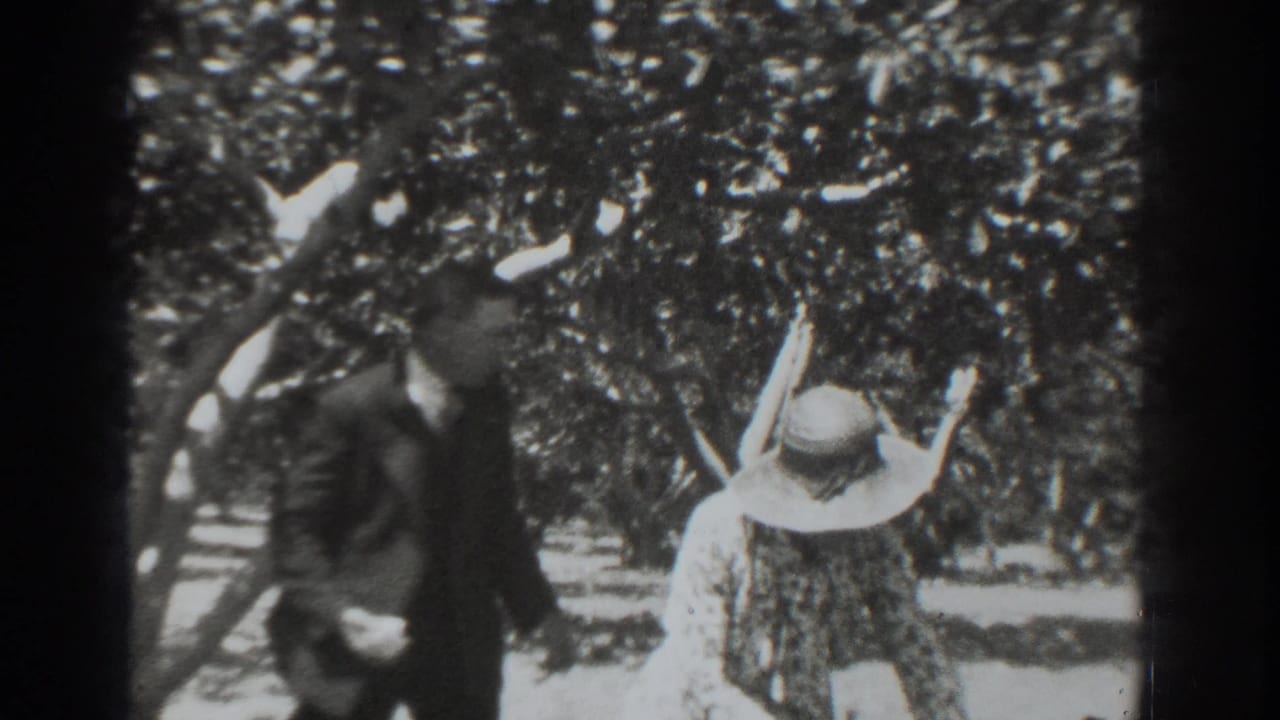 The suited man passes behind the woman in the wide hat, both partly blurred by motion in the Vacaville orchard scene.