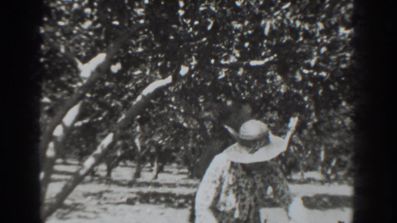 In 1937 Vacaville home-movie footage, a woman in a wide-brimmed hat moves through rows of orchard trees in bright sunlight.