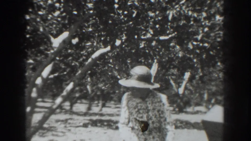 The woman is seen from behind among Vacaville orchard trees, with a partially visible dark-clothed person near the lower center of the frame.