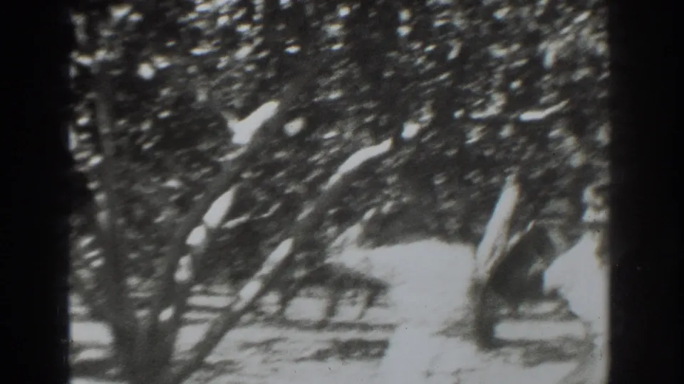 The final 1937 Vacaville frame shows the woman blurred by motion at the right side, with orchard trees and bright ground behind her.