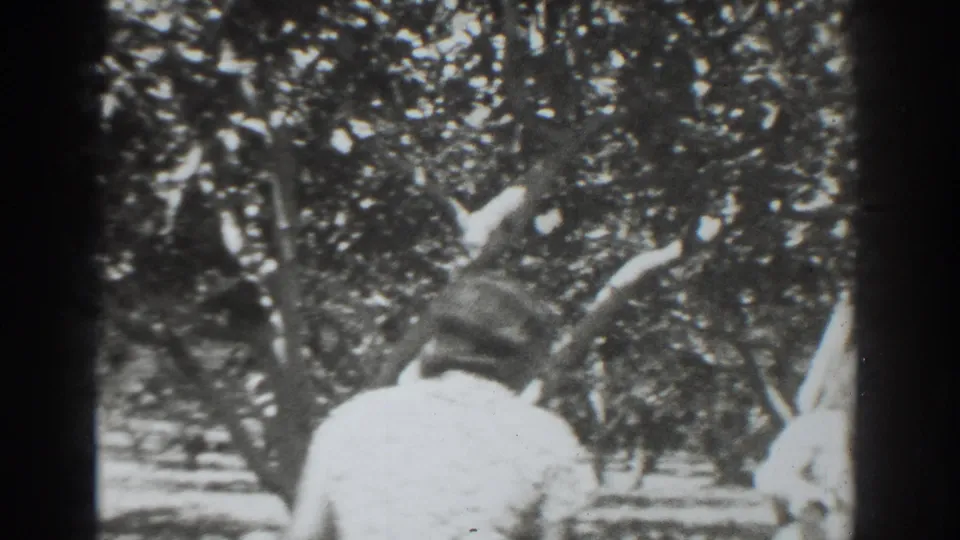 1937 Vacaville home-movie frame showing adults outdoors beneath trees, partly obscured by dark film gate edges.
