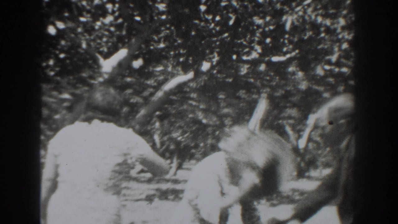 Two people outdoors near trees, one bending or looking downward.